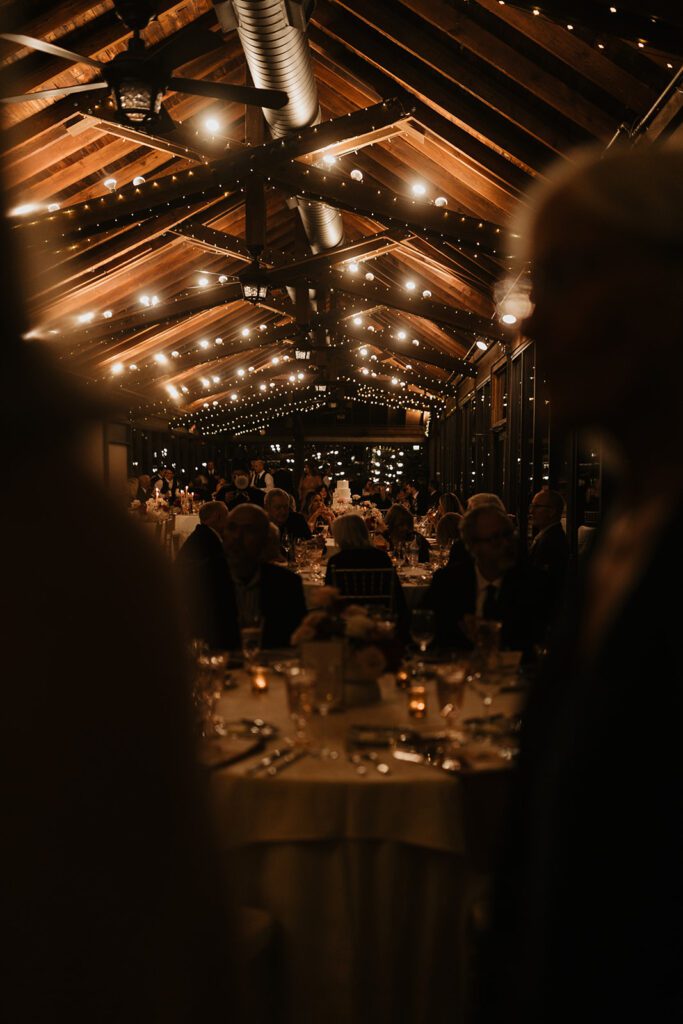 string light wedding reception at the Deerpark location on the biltmore estate