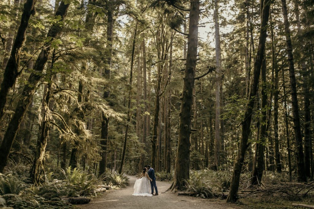 marymere-falls-olympic-national-park-airbnb-elopement