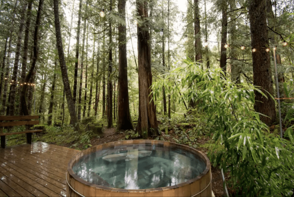 hot-tub-in-airbnb-woods-for-elopement